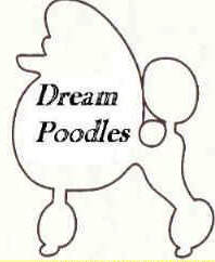 Dream Poodles