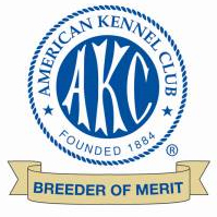 AKC Breeder of Merit