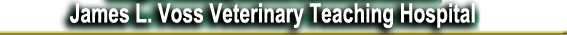 Veterinary Teaching Hospital
